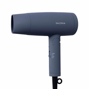 SALONIA サロニア | スピーディーイオン ドライヤー グレー ヘアドライヤー 大風量 速乾 軽量 マイナスイオン SL-013GR