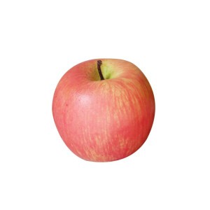 【送料無料】TOYMYTOY りんごモデル 人工リンゴ フルーツ 人工果物 人工食べ物 写真小道具 パーティー装飾 ウェディング ショーケース装