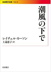 潮風の下で (岩波現代文庫)(中古品)