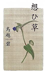 想ひ草(中古品)