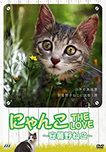 にゃんこTHE LOVE ~安曇野ねこ~ [DVD](中古品)