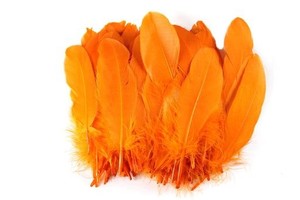 ノーブランド品　染め羽根　100枚　ガチョウの羽　１５−２０ＣＭ　工芸品　ＤＩＹ　装飾用の羽根　オレンジ