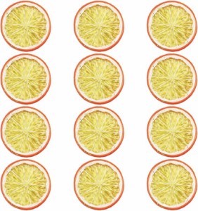 食品サンプル スライス 輪切りセット フルーツカット 果物 ディスプレイ( オレンジ・12枚セット)