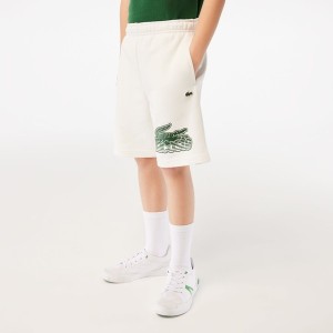 ラコステ（LACOSTE）/LACOSTE BOYS グラフィカルプリントスウェットショーツ