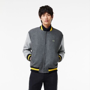 ラコステ（LACOSTE）/ベーシックバーシティジャケット