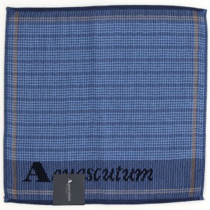 アクアスキュータム（AQUASCUTUM）/【約25x25cm】タオルハンカチ （メンズ）（Aquascutum）