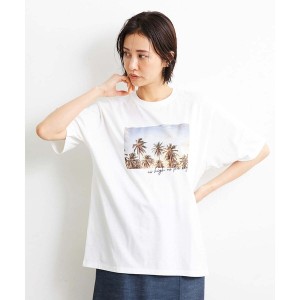 ミッシェルクラン/[小さいサイズ]パームツリーフォトプリントTシャツ