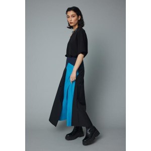 ヘリンドットサイ（HeRIN．CYE）/Asymmety hem skirt