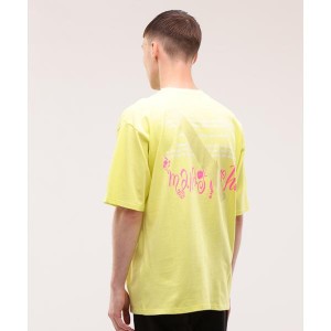 マナスタッシュ/MANASTASH／マナスタッシュ／CiTee PLANTS Tシャツ