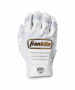 フランクリン（FRANKLIN）/手袋 CFX FP FASTPICH
