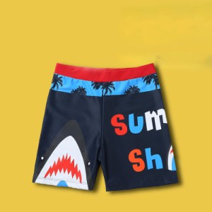 送料無料 キッズ サーフ パンツ 男の子 水着 スイムウェア スイムパンツ 紫外線対策 水陸両用 ハーフパンツ レジャー アウトドア 海 プー