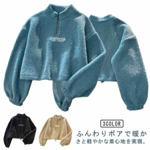 大きいサイズ レディース ボア 裏起毛 ハーフジップ ブルゾン アノラック 秋物 冬物 秋服 トレーナー 秋 冬服 ブルゾン 軽量 冬 プレゼン