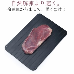  業務用 肉 急速解凍 肉 省エネ 解凍プレート 業務用 家庭用 冷凍食品 食品解凍 解凍板 食品 刺身 省エネ 栄養流失防止 シートまな板 ア