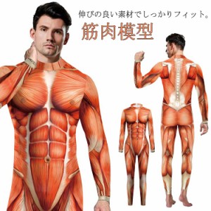  模型 人体模型 筋肉模型 ハロウィン コスチューム 筋肉 人体 3D 大人 メンズ 衣装 プリント 全身タイツ