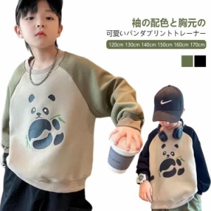  スウェット 子ども服 ゆったり 切り替え スエット 配色 パンダ柄 パーカー 女の子 子供服 男の子 男児 女子 スウェット 女児 プルオーバ