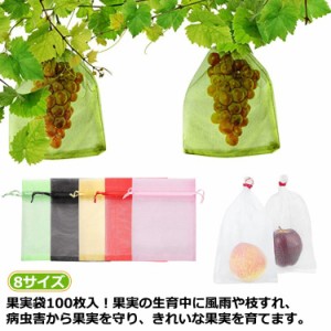  鳩よけネット りんご袋 ぶどう袋 リンゴ袋 保護 20×30 防虫 緑色 イチゴ 100枚入 ネット カラス対策 果物袋 保護ネット 果物 ネット 大