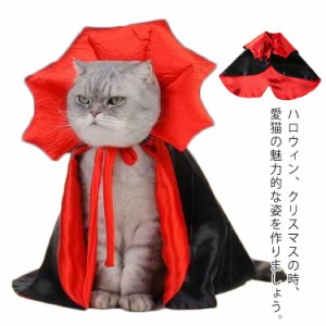  犬用品 仮装 犬用 猫 ペット服 犬 コスプレ コスチューム 魔女 猫用 魔法使い マント ケープ 犬服 ドッグウェア キャットウェア 可愛い 