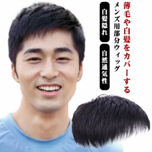 ウィッグ かつら メンズ 部分ウィッグ トップカバー ポイントウィッグ メンズウィッグ ヘアピース 男性用 紳士用 付け毛 脱毛症 薄毛 白