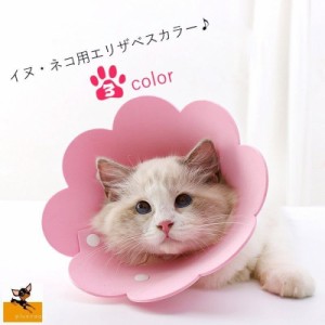 エリザベスカラー ネコ 猫 小型犬 ペット用品 ペット雑貨 スナップボタン フラワー 花型 無地 イエロー ピンク オレンジ シンプル かわい