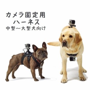 犬用チェストマウントハーネス カメラ固定用ハーネス カメラ固定用胴輪 ドッグハーネス スポーツカメラ取り付けグッズ カメラアクセサリ