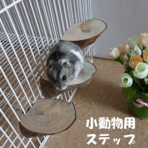 小動物用 足場 台 ステップ ケージに取り付け かじり木 シマリス 小鳥 モモンガ チンチラ ハムスター