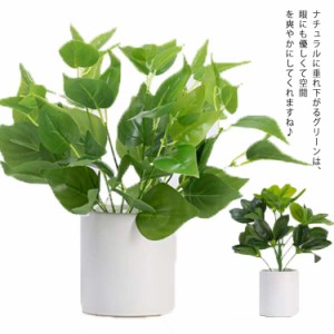 観葉植物 フェイク 大型 人工観葉植物 フェイクグリーン 観葉植物 造花 鉢植 インテリア おしゃれ ナチュラル 観葉樹 緑 シンプル リアル