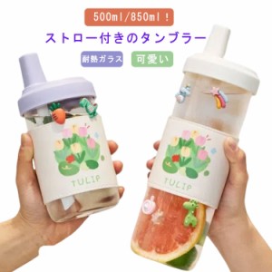 ストロー付き 水筒 ストロー付きタンブラー ガラスボトル 500ml 850ml 大容量 耐熱ガラス クリア 可愛い ブラシ付き おしゃれ キッズ 子