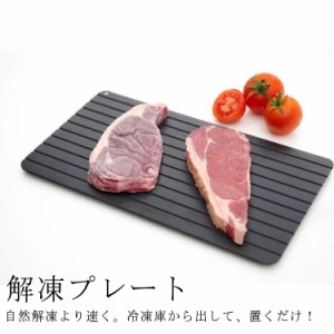 解凍プレート 業務用 急速解凍 業務用 家庭用 自然解凍 肉 刺身 冷凍食品 海鮮 肉 解凍板 食品 省エネ 栄養流失防止 シートまな板 アルミ