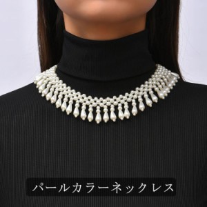 つけ襟 パール ドレス ネックレス フリル 大粒パール フォーマル 小粒パール パールカラーネックレス アクセサリー アクセ ネックレス 付