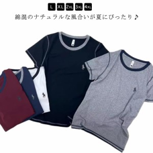 半袖 春 レディース ライン配色Tシャツ 丸首 ティーシャツ ラウンドネック クルーネック 刺繍ロゴ カットソー シンプル ティシャツ 無地 