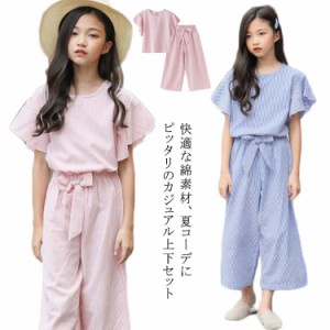 【送料無料】セットアップ キッズ ワイドパンツ 半袖　韓国子供服 子供服 フリル袖 春 夏 上下セット カジュアル トップス ジュニア 女の