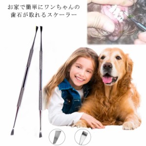 【送料無料】ペット用 歯石取り スケーラー 犬用 猫用 両頭タイプ デンタルケア 歯石取り 歯垢 歯石除去用品 ハミガキ スケラー 歯石取り