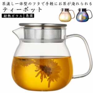 ティーポット 耐熱ガラス 急須 茶こし付き ポット ガラス コーヒーポット コーヒーサーバー ステンレス お茶 紅茶 ハーブティー 緑茶 フ