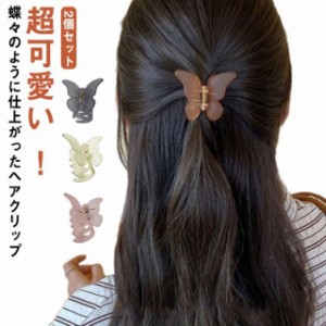 送料無料 2個セット ヘアクリップ ミニ  超軽量 マット クリア  まとめ髪 前髪 蝶々 バンスクリップ 小さめ ヘアアレンジ  ヘアアクセサ