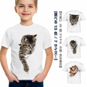 可愛い 3D 猫 Tシャツ 半袖 キッズ tシャツ 猫tシャツ 子供 3D tシャツ 白 半袖 大きいサイズ おしゃれ ティーシャツ 女の子 男の子 トッ
