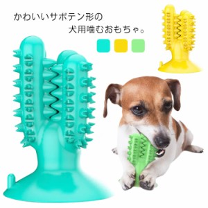 犬 おもちゃ 噛む 歯磨き ペット 犬用品 おしゃれ 犬用 歯ブラシ 噛むおもちゃ サボテン形 吸盤 歯ぎしり  歯ブラシ クリーニング 口臭予