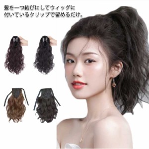 ポニーテール ウイッグ 長35cm ポイントウィッグ つけ毛 ロング 簡単 ワンタッチ ヘアアレンジ ウイッグ wig 耐熱ウィッグ エクステンシ