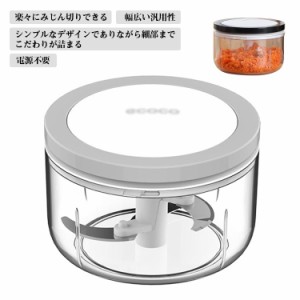 みじん切り器 550ML 手動 ハンディチョッパー コンパクト 玉ねぎ・みじん切り器 ニンニクつぶし ぶんぶんチョッパー 便利・時短 グレー 