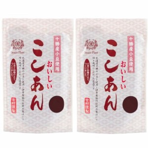 伊勢製餡所 こしあん 300g×2袋 あんこ 北海道十勝産小豆 無添加 (こし 2袋)