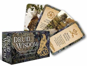 オラクルカード Rockpool 正規販売店 ドルイッド ウィズダム（ミニ インスピレーションカード） Druid Wisdom 占い