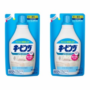 【まとめ買い２袋】花王 洗たく機用 キーピング 詰め替え 480ml × ２袋 在庫限り ＼早いもの勝ちクーポン配布中／ M【AA】