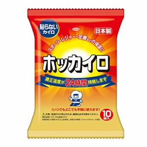 ホッカイロ 貼らない レギュラー 10個入