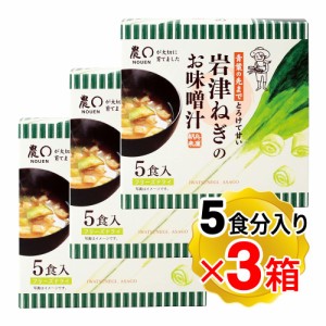 岩津ねぎのお味噌汁 1箱(5食分入り)×3箱セット 日本三大ねぎ フリーズドライ 個包装タイプ 足立醸造米麹生味噌使用 化学調味料不使用 NO