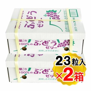 ASフーズ 果汁100％ ゼリー BOX ぶどう味 1箱(23粒入り)ｘ2箱セット 個包装 一口ゼリー お菓子