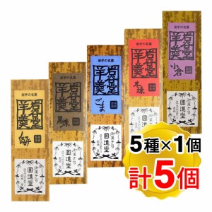 回進堂 岩谷堂羊羹 新中型 5種アソート くるみ、ごま、小倉、黒練、本煉 1個260g 各1個ずつ 計5個セット お茶菓子 和スイーツ 贈り物 プ