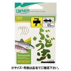 オーナー ぶどう虫 針７号−ハリス０．４号 茶