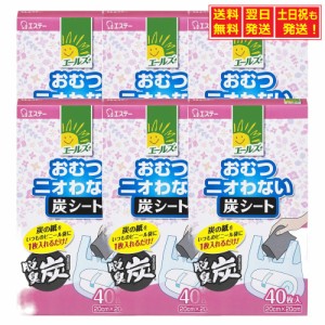 【まとめ買い】 エールズ 介護用 おむつニオわない炭シート おむつ 尿取りパッド用 シートタイプ 40枚入×6個 大人用おむつ 介護 介護用