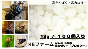 昆虫ゼリー プロゼリー 100個 クワガタゼリー KBファーム (18gワイド100個)