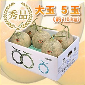 夕張メロン 共撰品 秀品大玉(約1.6kg) 5玉1箱