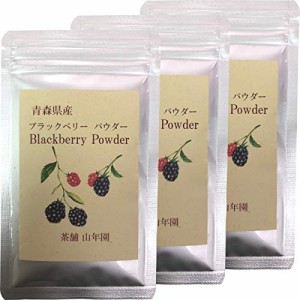 レビュー投稿で+５％プレゼント｜ ブラックベリー粉末 40g 国産100% 青森県産 無農薬 無添加 巣鴨のお茶屋さん 山年園 【3袋セット】